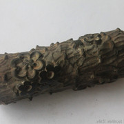IMG-5074