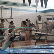 IMG-0239