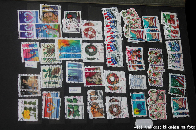 IMG-3098.jpg