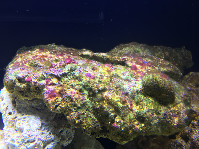 Tank 9 4 3
