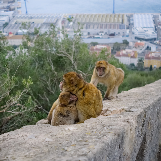 DSCF8660.jpg