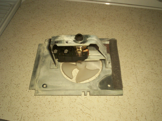fan-3
