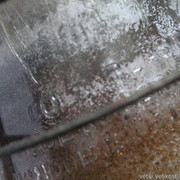 IMG-5118