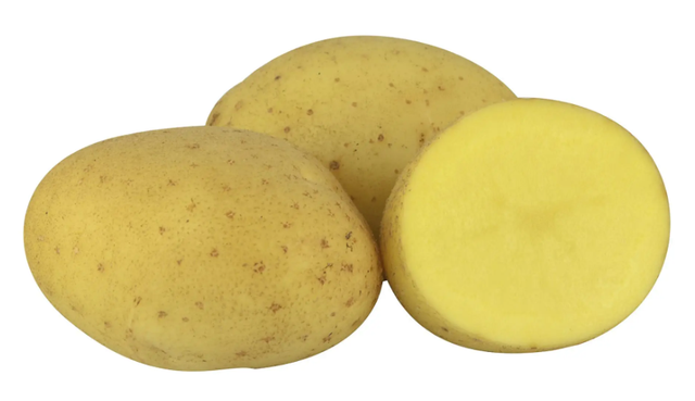 Batata vivaldi
