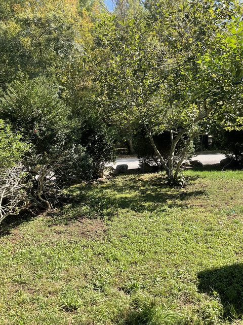 IMG-0742
