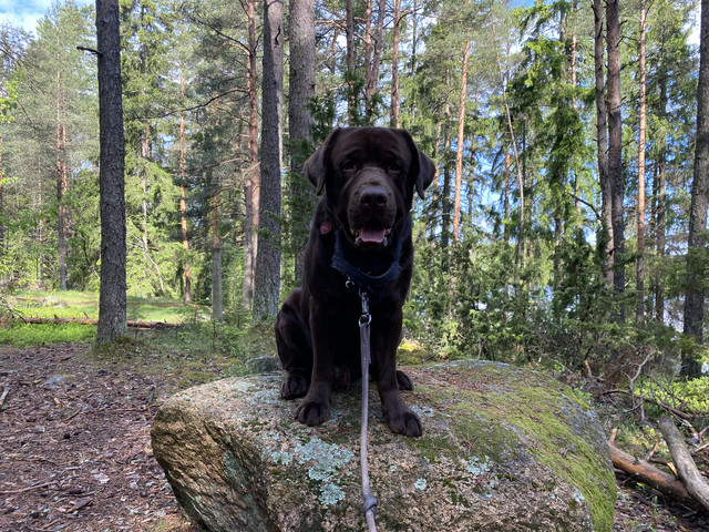 93-EE2186-8857-4-D21-892-E-55-D93574-E83