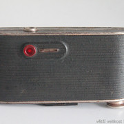 IMG-2718