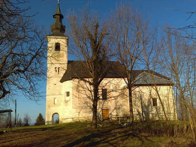 IMAG2272