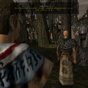 Walkthrough 40