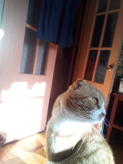 IMG-20220401-090346.jpg