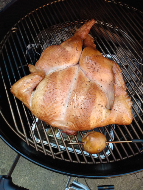 chicken.jpg