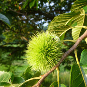 P1330690