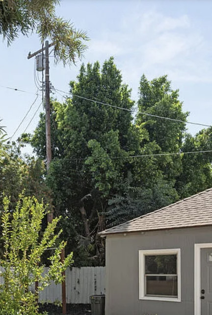 Powerline 1.jpg