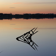 IMG-3634