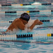 IMG-0374