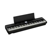 FP E50 BK 2
