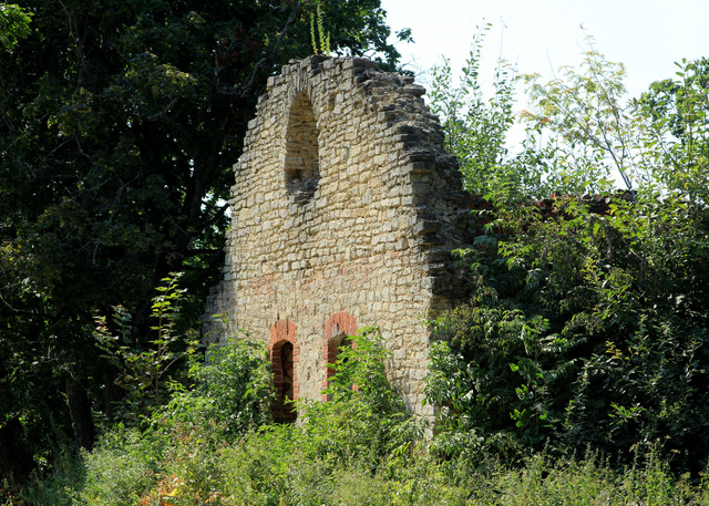 IMG-1726