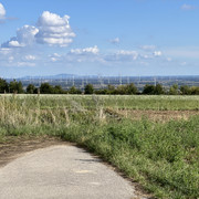 IMG-2533