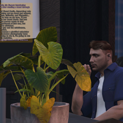 edited screenshot (31)