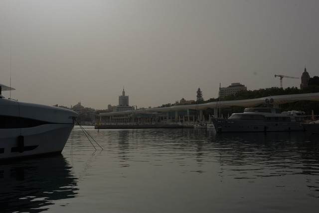 DSCF8895.jpg
