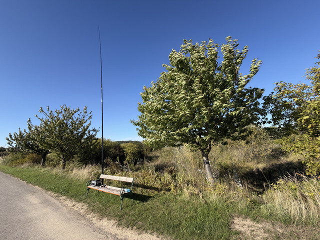 IMG-0308