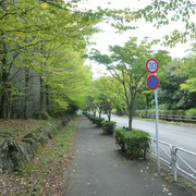 P1350012