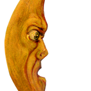 77
