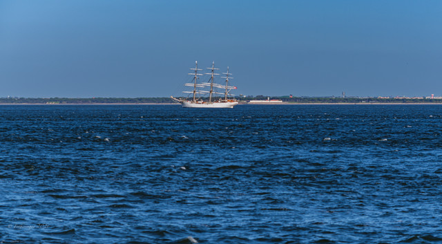 DSF5691.jpg