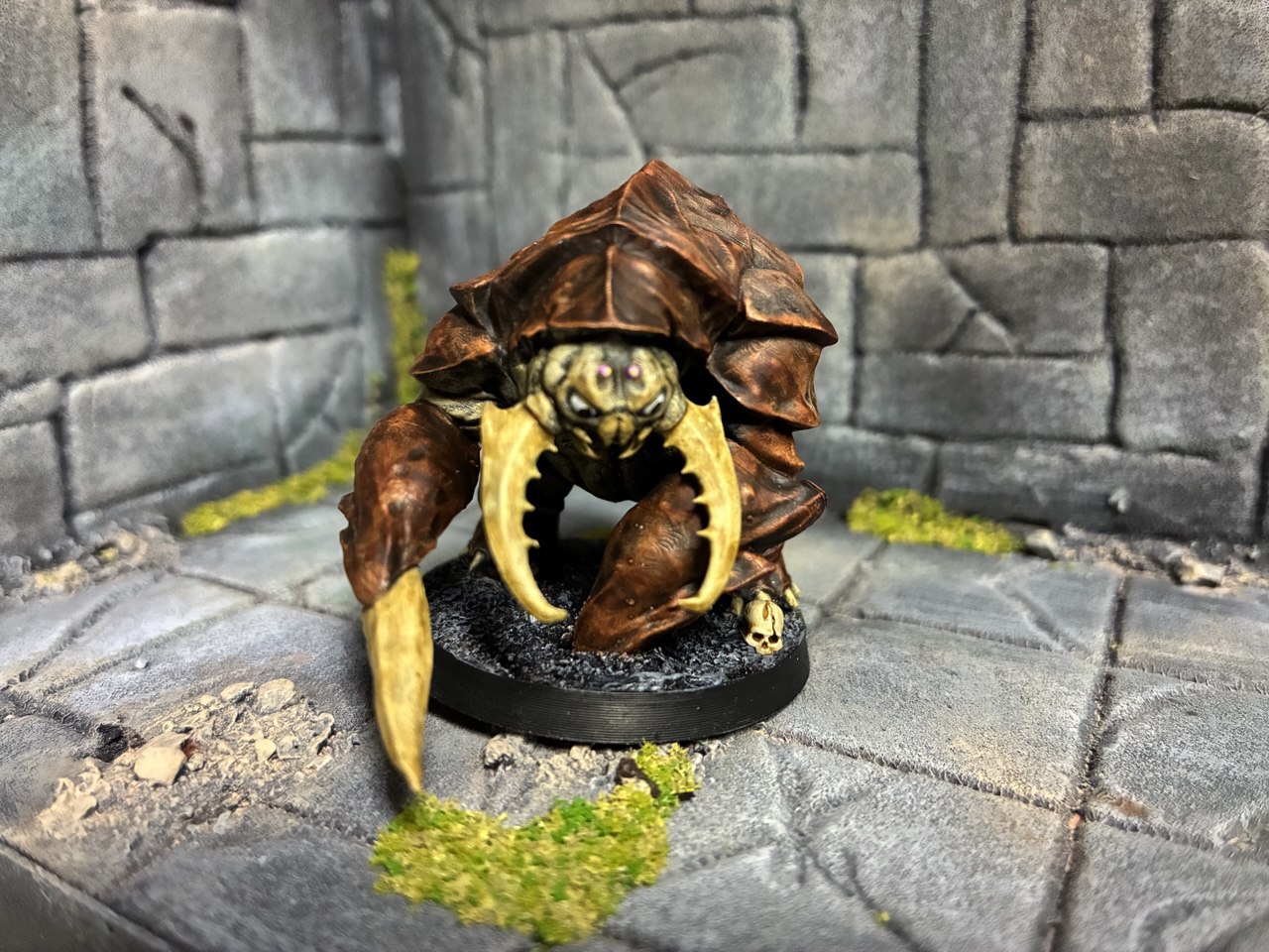 photo-2025-11-24-16-24-48" border="0