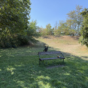 IMG 3192