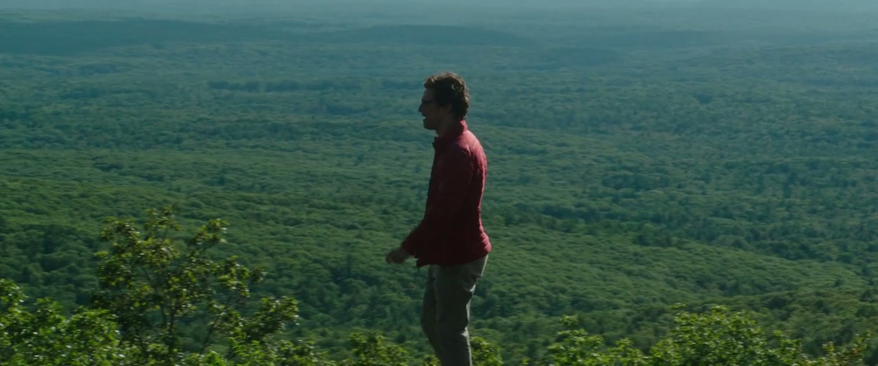 The Sea of Trees Screenshot
