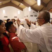 IMG 6915