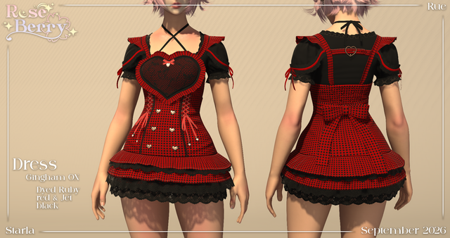 Dress gingham on dyed.png