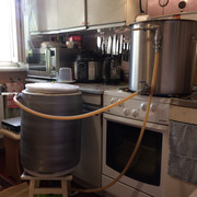 IMG-0345