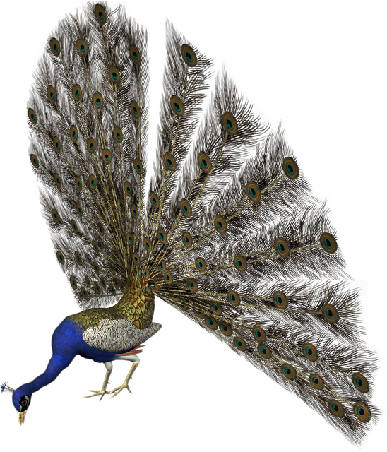 f166c355d15a.png