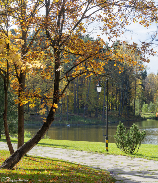 001A5487.jpg