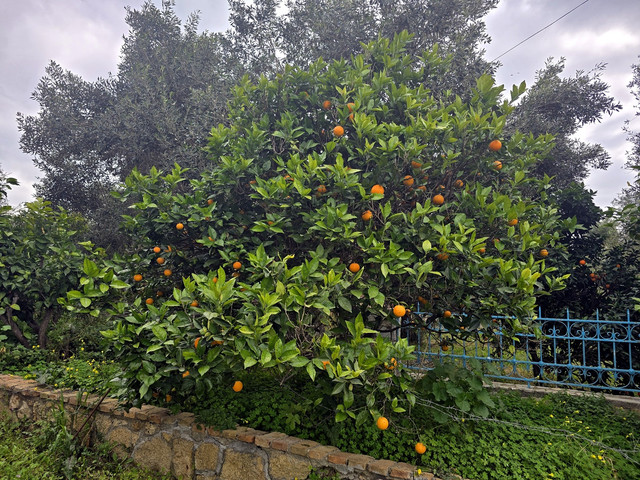104.jpg