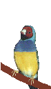 3KCXZZIHSDDFP4EJQ35XUSJSJ3RZS2ND.gif