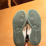 IMG 4516