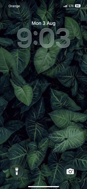 IMG-8593.png