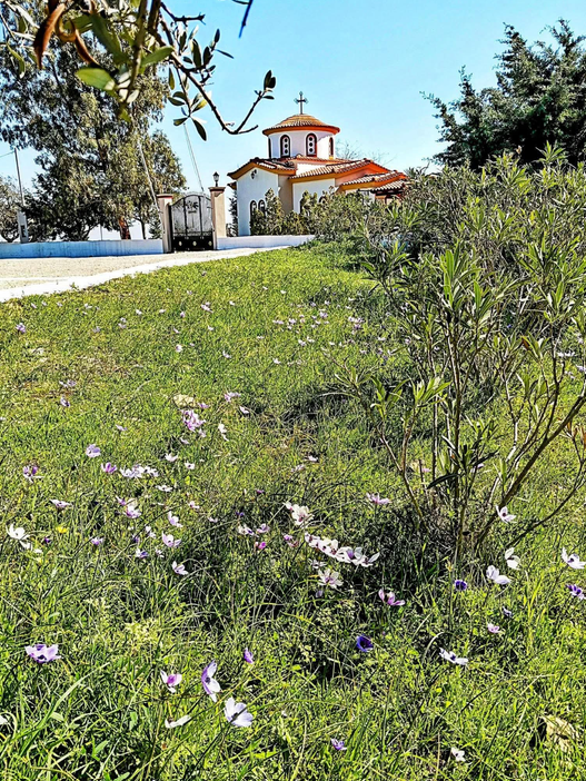 CHIOS