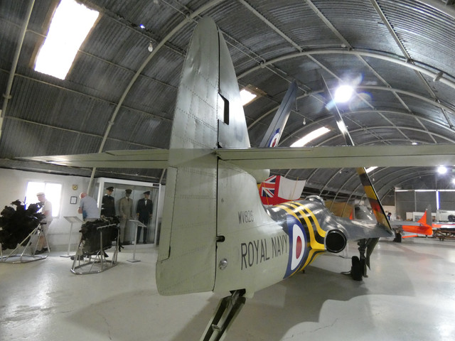 P1060582-Copy.jpg