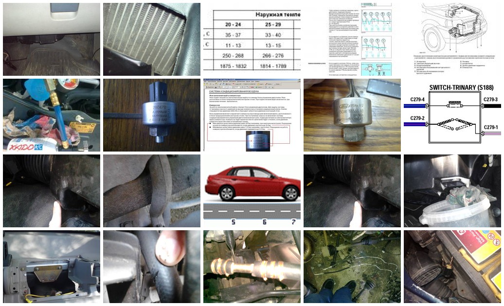 https://i.ibb.co/s9gp4t6x/600-collage.jpg