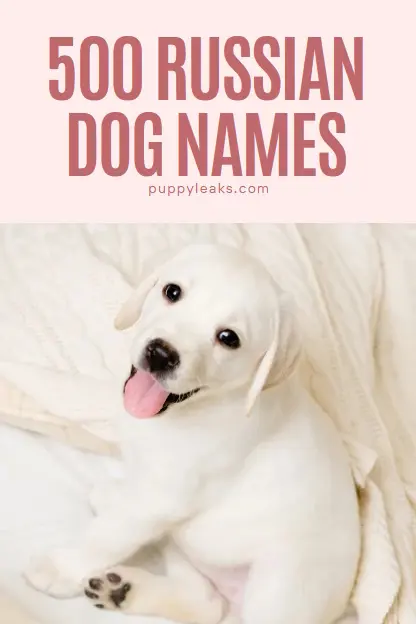 Choosing the Perfect Name for Your Furry Friend: 500 Russian Dog Names to Inspire