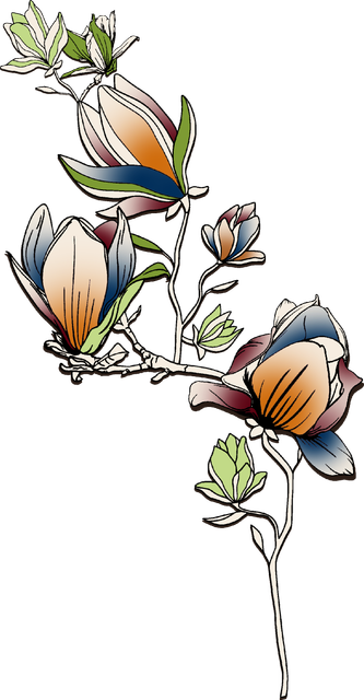 dfc01bf2bb50bb6c0c9ae74a630b49bc.png