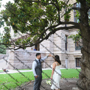 IMG 4241