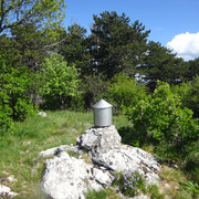 DSC04884