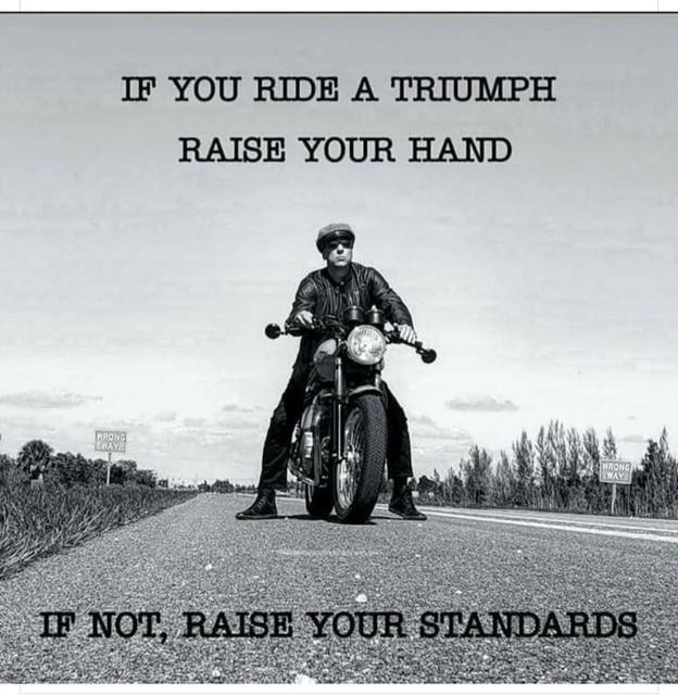 Triump-raise-your-st-ANDARDS