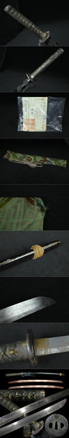 DSC6978.jpg