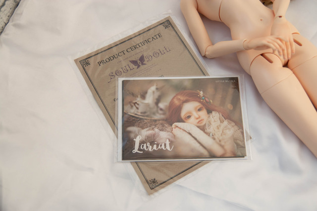 IMG-6525